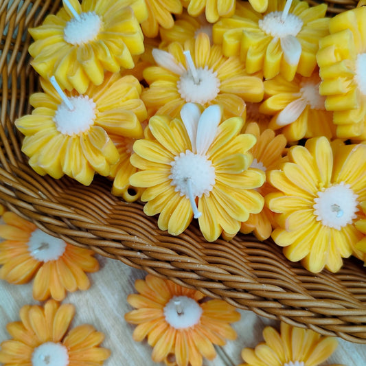 Flor | vela de soja + tarjeta